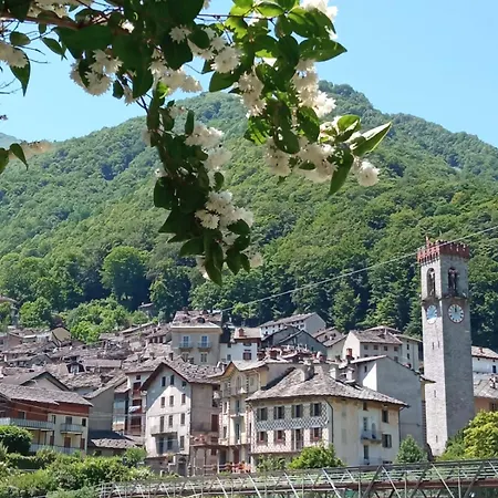 Appartamento Viottolo 12 Bike & Sky - Rosazza Campiglia Cervo